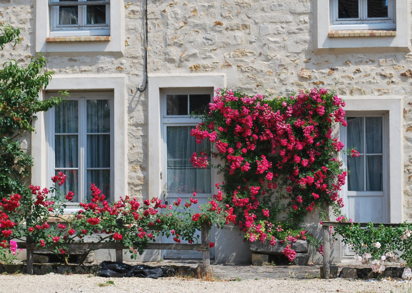 Fotokaart bijzonder huis in frankrijk - Vakantiekaarten Vakantiekaarten - Fotokaart bijzonder huis in frankrijk