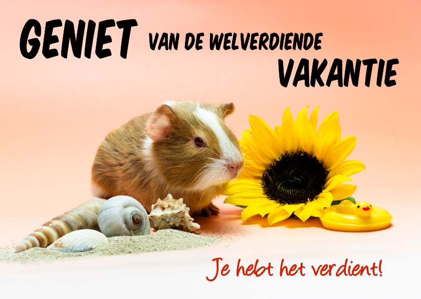 Vakantiekaarten - Geniet van je welverdiende vakantie! cavia kaart
