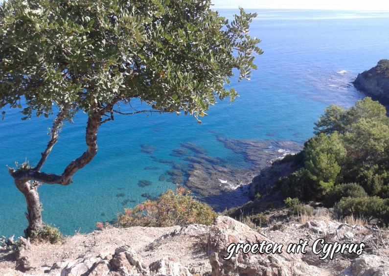Groeten uit Cyprus - Vakantiekaarten Vakantiekaarten - Groeten uit Cyprus