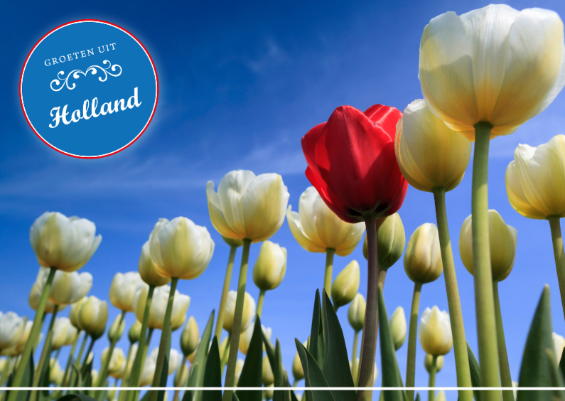 Groeten uit Holland LXII - Vakantiekaarten Vakantiekaarten - Groeten uit Holland LXII