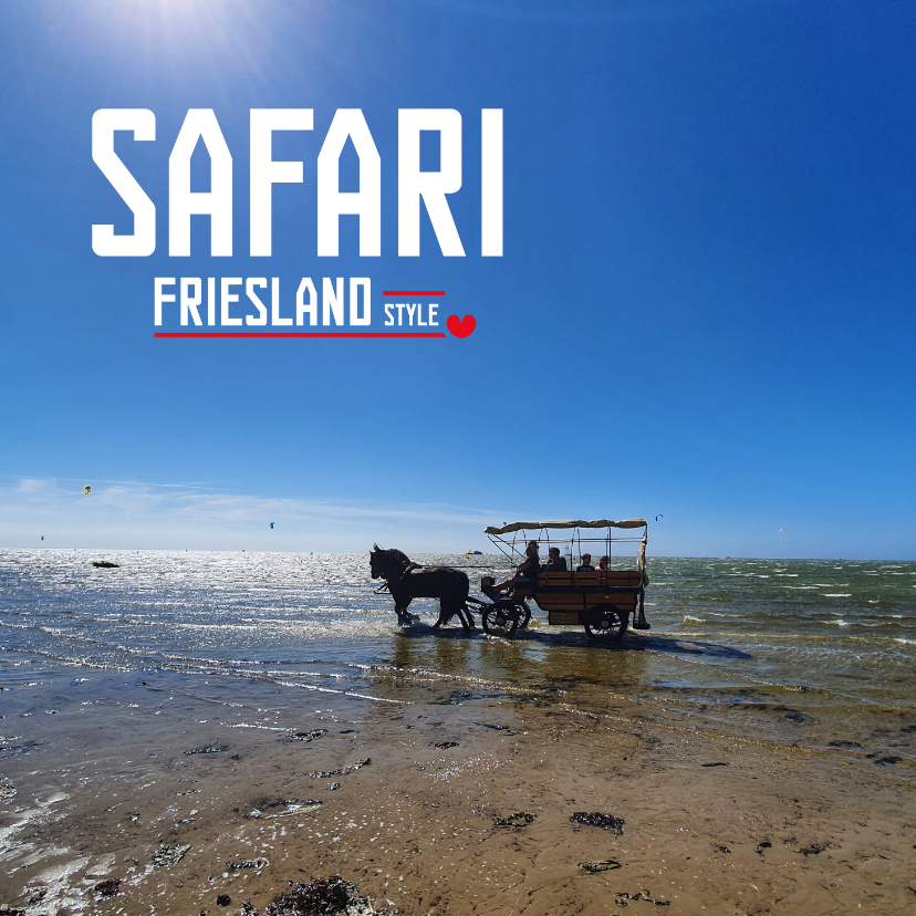 Vakantiekaarten - Safari Friesland Style 2