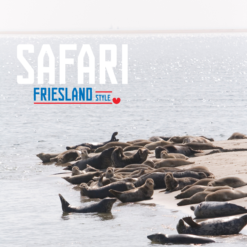 Vakantiekaarten - Safari Friesland Style