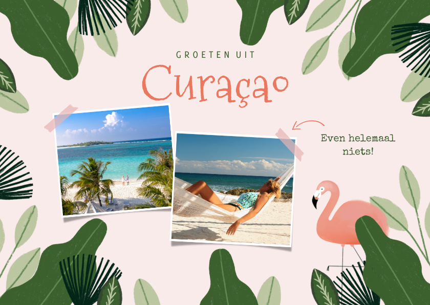 Vakantiekaarten - Tropische vakantiekaart Curacao jungle flamingo en foto's