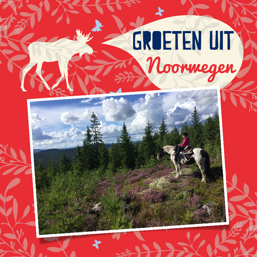 Vakantiegroeten uit Noorwegen met eigen foto's - Vakantiekaarten Vakantiekaarten - Vakantiegroeten uit Noorwegen met eigen foto's