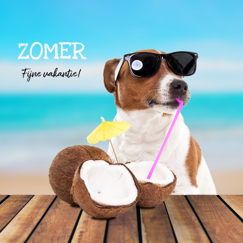 Vakantiekaart - Boris fijne zomer - Vakantiekaarten Vakantiekaarten - Vakantiekaart - Boris fijne zomer