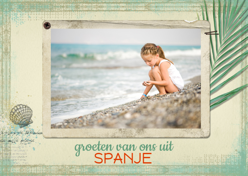 Vakantiekaart eigen foto palmblad - Vakantiekaarten Vakantiekaarten - Vakantiekaart eigen foto palmblad