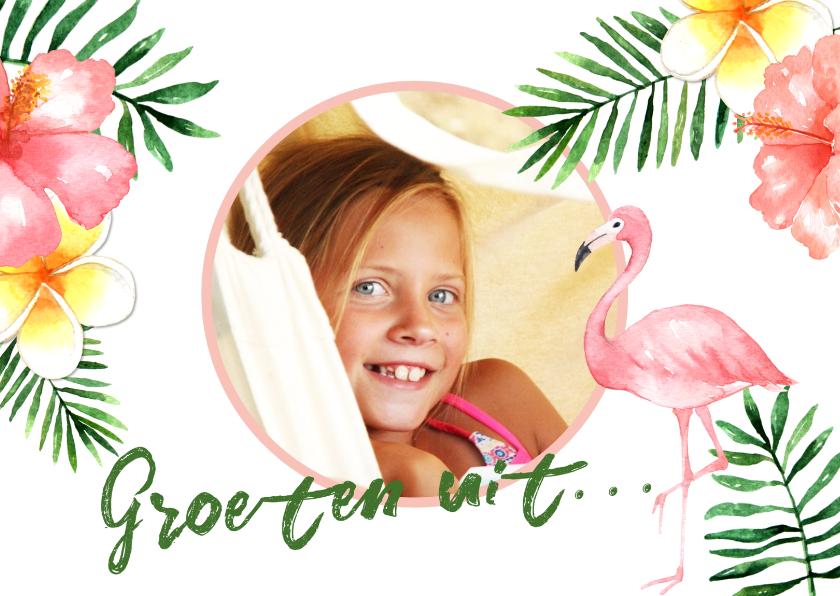 Vakantiekaarten - Vakantiekaart Flamingo- WW