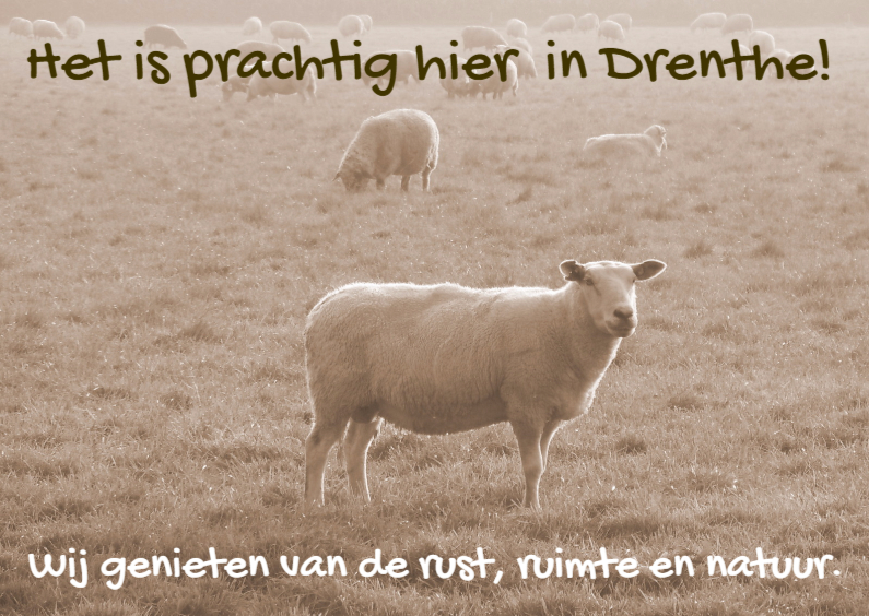 Vakantiekaart mooi Drenthe IW - Vakantiekaarten Vakantiekaarten - Vakantiekaart mooi Drenthe IW