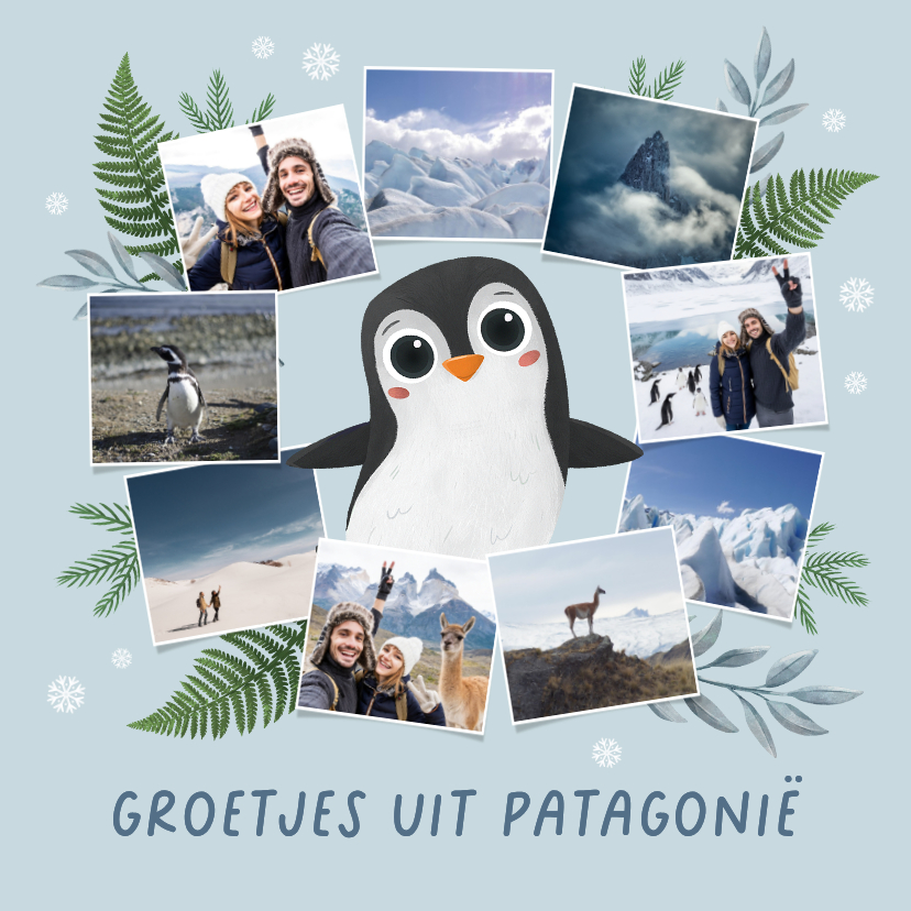 Vakantiekaarten - Vakantiekaart zuid amerika pinguin winter bergen Patagonië