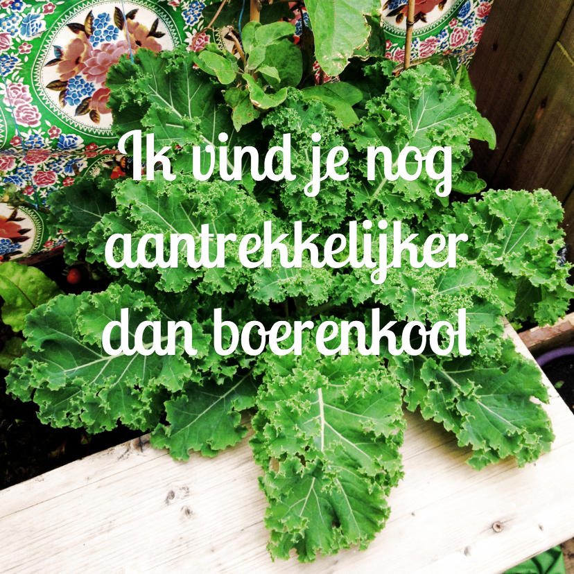Boer zoekt Valentijnskaart - Valentijnskaarten Valentijnskaarten - Boer zoekt Valentijnskaart