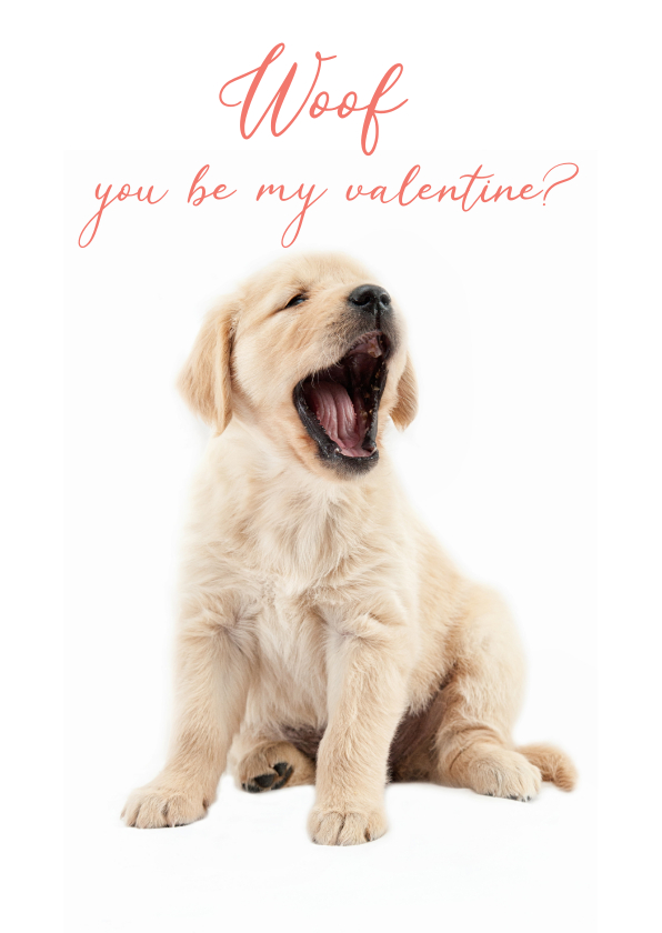 Valentijnskaarten - KNGF Geleidehond valentijnskaart woof you be my valentine?