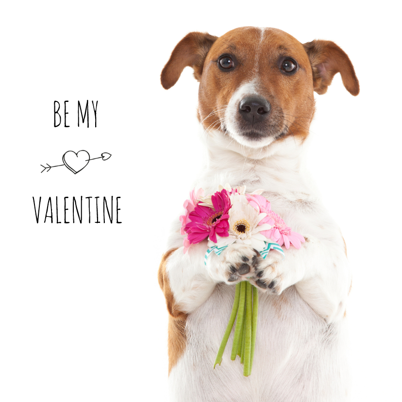 Valentijnskaarten - Liefde - Be my valentine - Boris