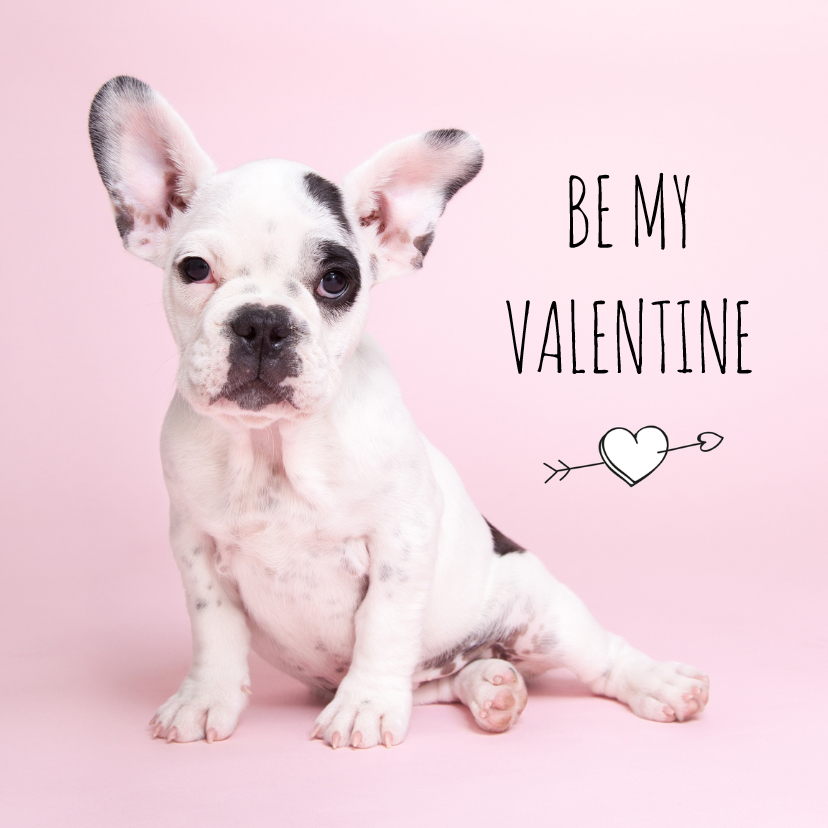 Valentijnskaarten - Liefde - Be my valentine - Franse Bulldog