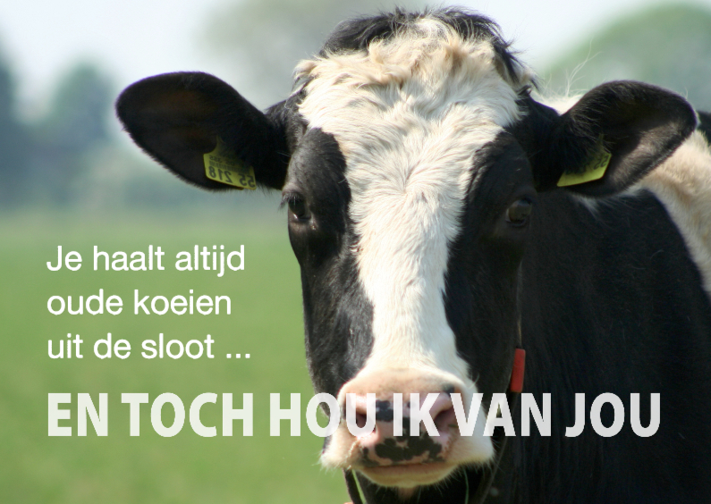 liefde tekst koe - Valentijnskaarten Valentijnskaarten - liefde tekst koe