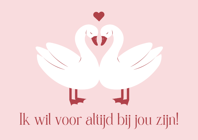 Valentijnskaarten - Lieve valentijnskaart met illustratie van twee zwanen