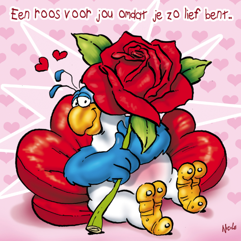 rocco valentijn 4 papegaai grote roos - Valentijnskaarten Valentijnskaarten - rocco valentijn 4 papegaai grote roos