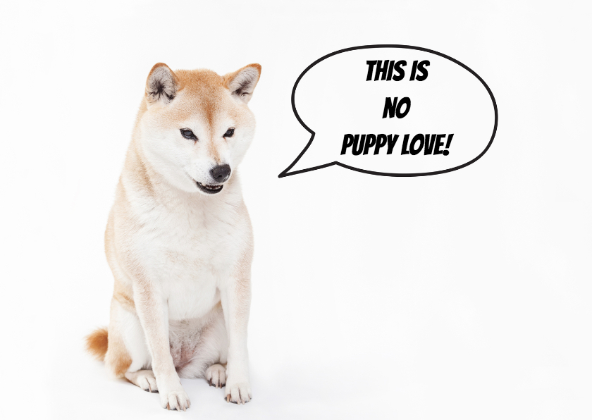 This is no puppy love - Valentijnskaarten Valentijnskaarten - This is no puppy love