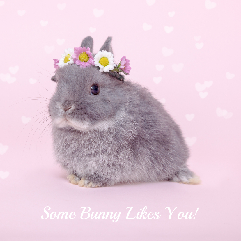 Valentijnskaarten - Valentijn - Some Bunny Likes You