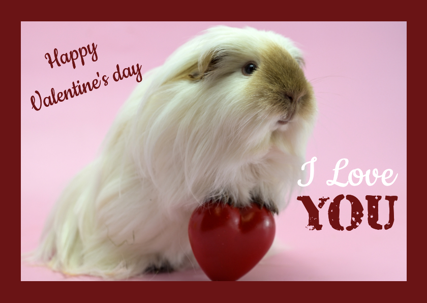 Valentijnskaart met cavia die een lieve groet brengt - Valentijnskaarten Valentijnskaarten - Valentijnskaart met cavia die een lieve groet brengt