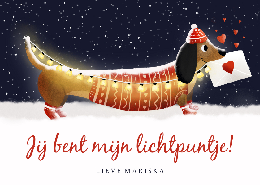 Valentijnskaarten - Valentijnskaart met teckel - Jij bent mijn lichtpuntje