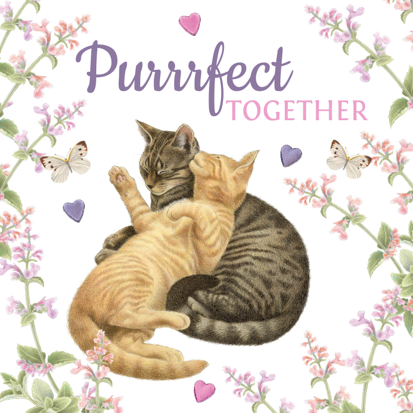 Valentijnskaarten - Valentijnskaart purrfect together