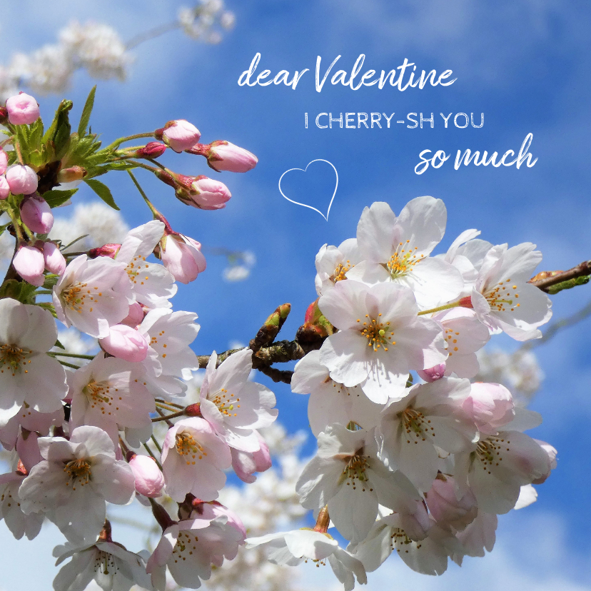 Valentine Cherry blossom - Valentijnskaarten Valentijnskaarten - Valentine Cherry blossom