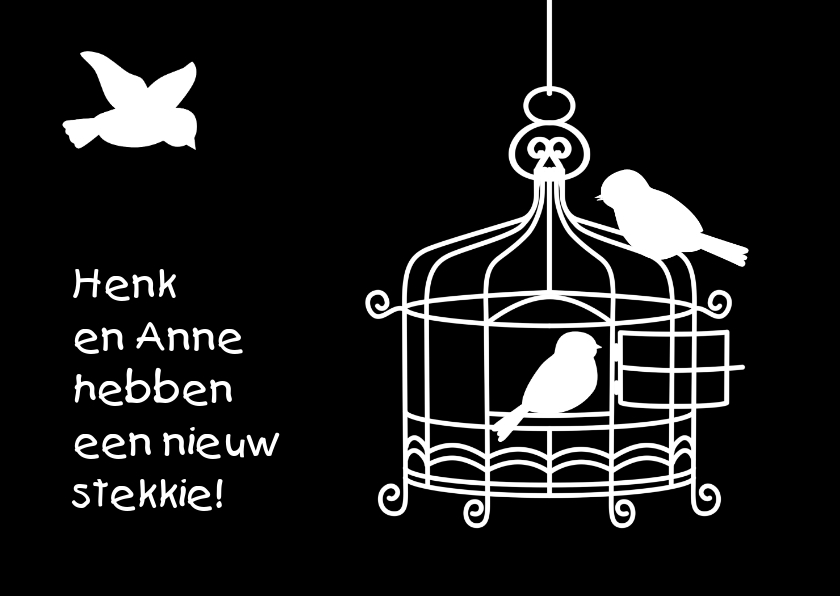Grappig verhuisbericht met kooitje en vogeltjes - Verhuiskaarten Verhuiskaarten - Grappig verhuisbericht met kooitje en vogeltjes