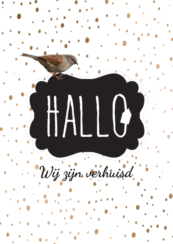 Verhuiskaart Hallo confetti- LO - Verhuiskaarten Verhuiskaarten - Verhuiskaart Hallo confetti- LO