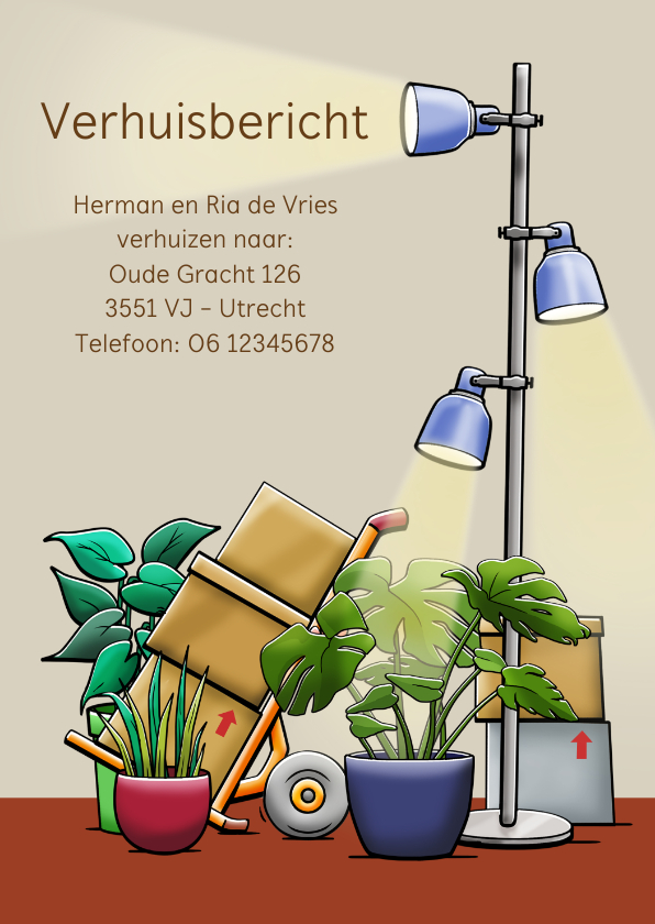 Verhuiskaarten - Verhuiskaart met diverse planten en lamp en dozen