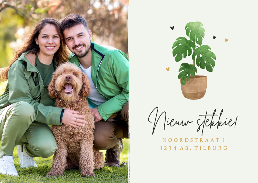 Verhuiskaart nieuw stekkie plantje hartjes foto verhuisdoos - Verhuiskaarten Verhuiskaarten - Verhuiskaart nieuw stekkie plantje hartjes foto verhuisdoos