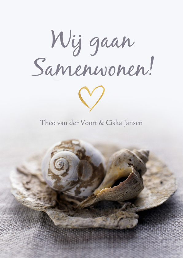 Verhuiskaart samenwonen met schelpenhuisjes - Verhuiskaarten Verhuiskaarten - Verhuiskaart samenwonen met schelpenhuisjes