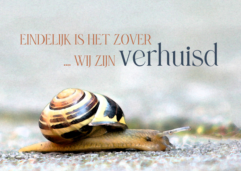 Verhuiskaarten - Wij verhuizen - eindelijk is het zover