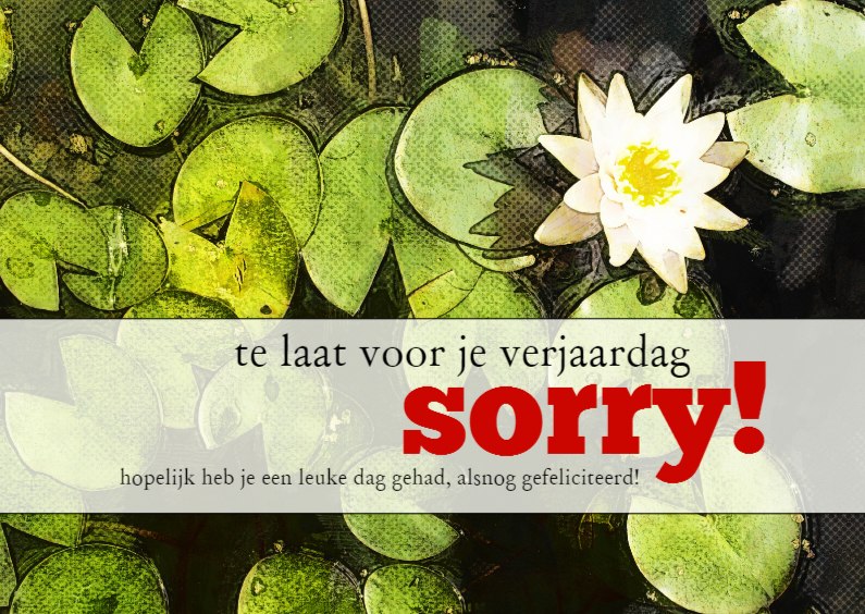 14196 Sorry te laat! - Verjaardagskaarten Verjaardagskaarten - 14196 Sorry te laat!