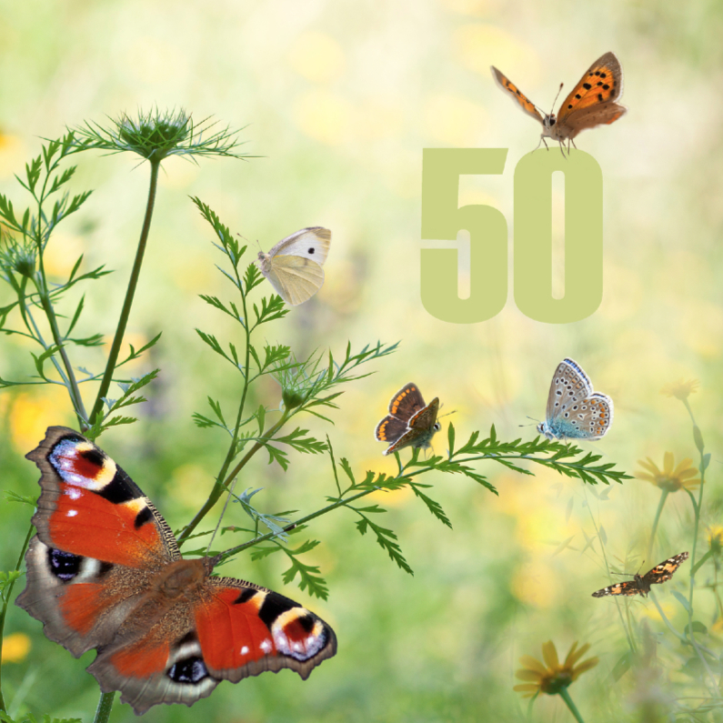 50 jaar met vlinders - Verjaardagskaarten Verjaardagskaarten - 50 jaar met vlinders