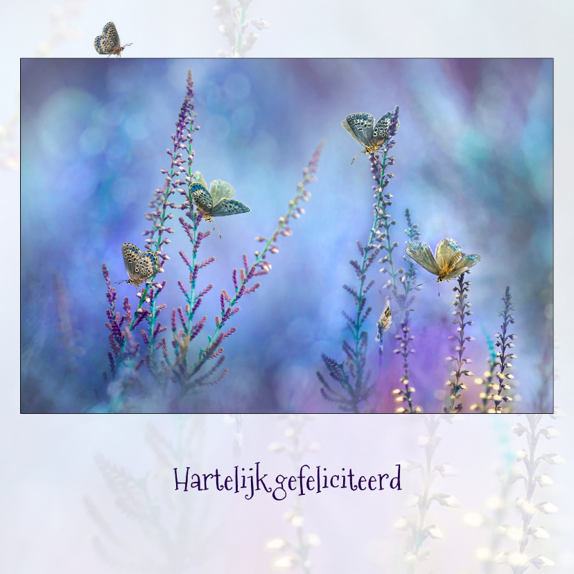 Blauwe vlinder-fantasie - Verjaardagskaarten Verjaardagskaarten - Blauwe vlinder-fantasie