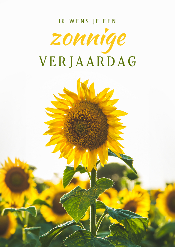Verjaardagskaarten - de Zonnebloem - Zonnige verjaardagskaart met zonnebloemen