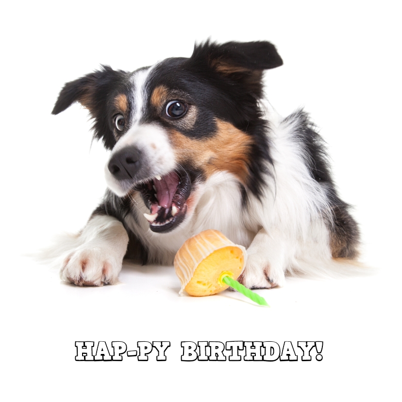 Verjaardagskaarten - Dieren Verjaardagskaart - Hap-py Birthday
