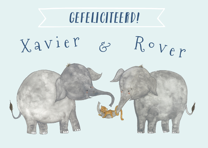 Felicitatie tweeling olifanten - Verjaardagskaarten Verjaardagskaarten - Felicitatie tweeling olifanten