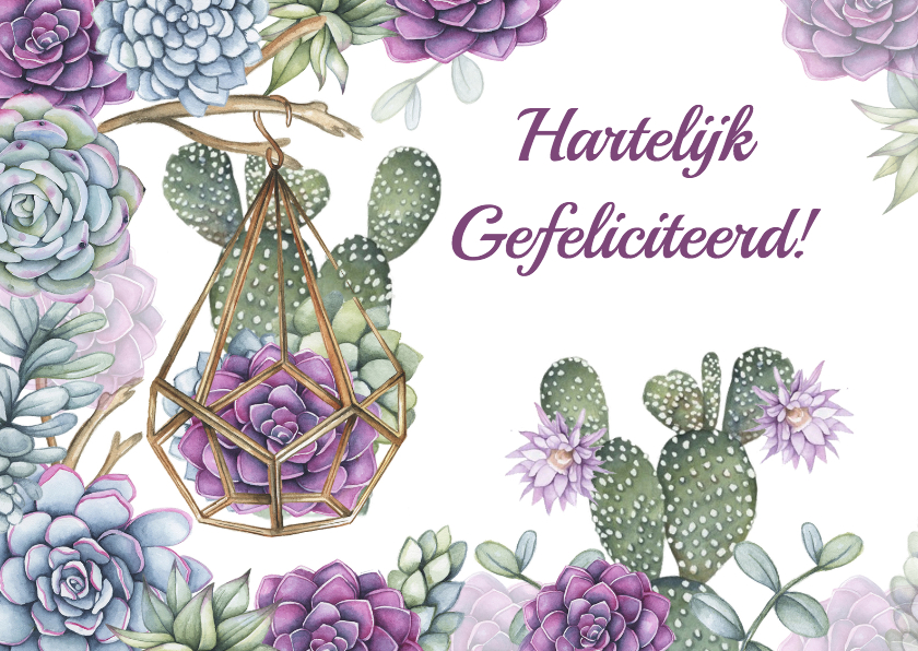 Felicitatie vetplanten cactus - Verjaardagskaarten Verjaardagskaarten - Felicitatie vetplanten cactus
