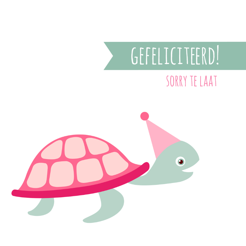 Felicitatiekaart te laat schildpad - HB - Verjaardagskaarten Verjaardagskaarten - Felicitatiekaart te laat schildpad - HB