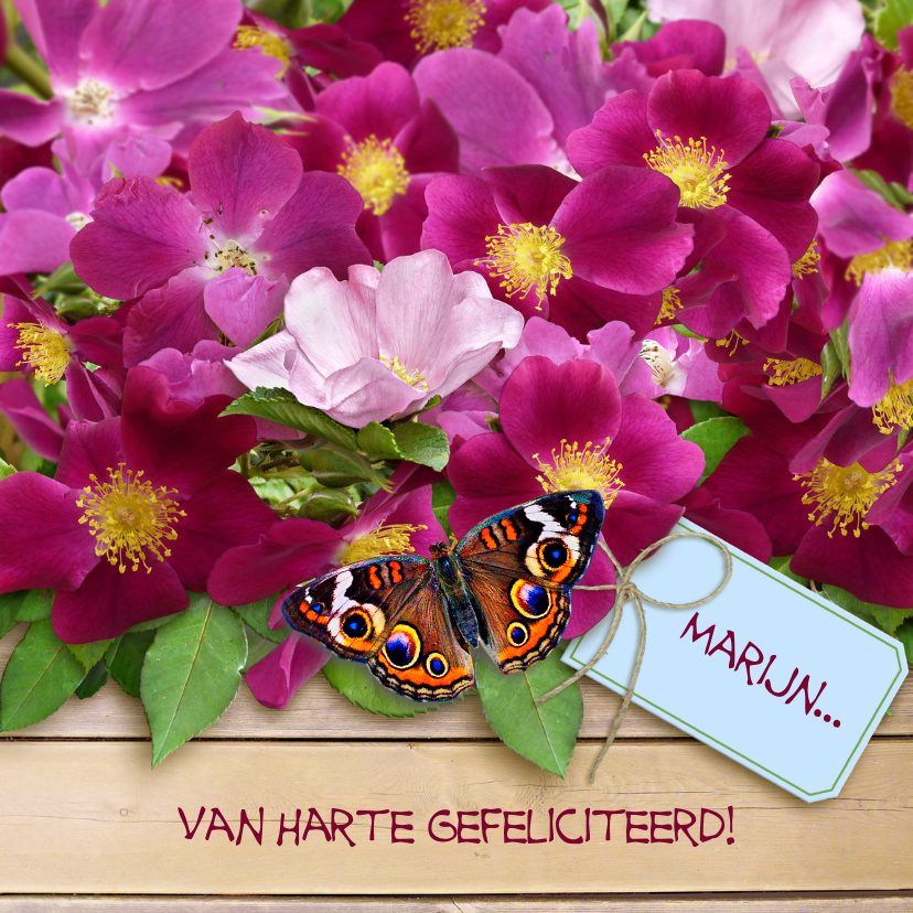 Felicitatiekaart wilde roos en vlinders op houtprint - Verjaardagskaarten Verjaardagskaarten - Felicitatiekaart wilde roos en vlinders op houtprint