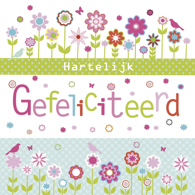 Gefeliciteerd in felle kleurtjes - Verjaardagskaarten Verjaardagskaarten - Gefeliciteerd in felle kleurtjes