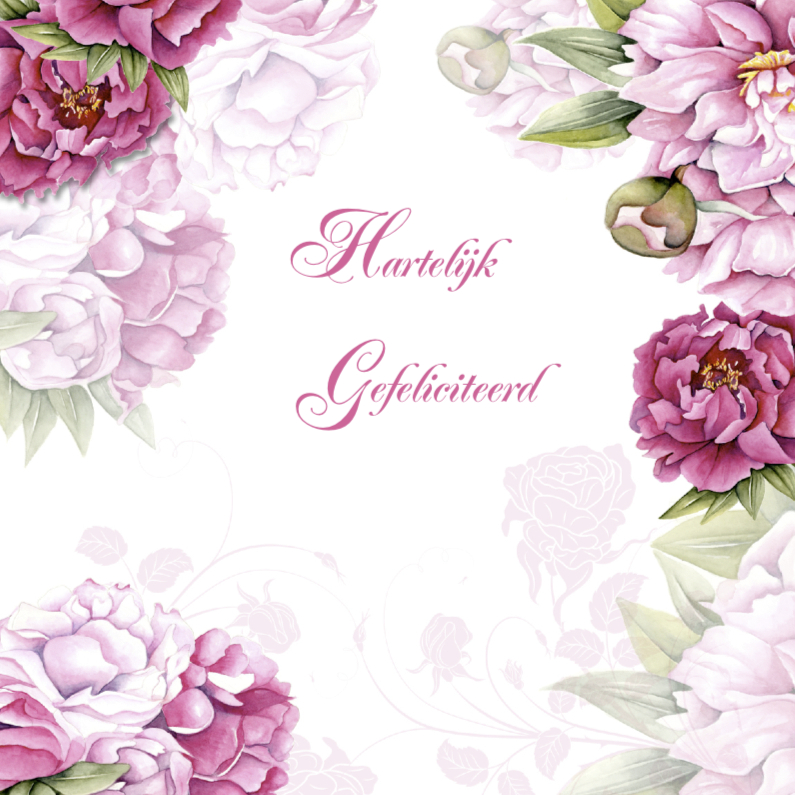Gefeliciteerd pioenrozen - Verjaardagskaarten Verjaardagskaarten - Gefeliciteerd pioenrozen