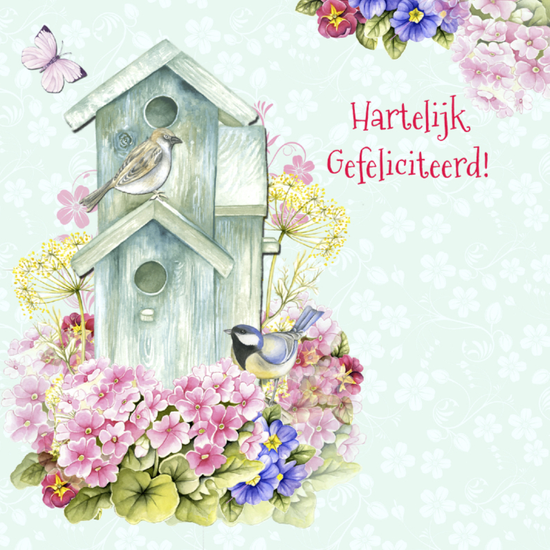 Gefeliciteerd vogelhuisje vogels - Verjaardagskaarten Verjaardagskaarten - Gefeliciteerd vogelhuisje vogels