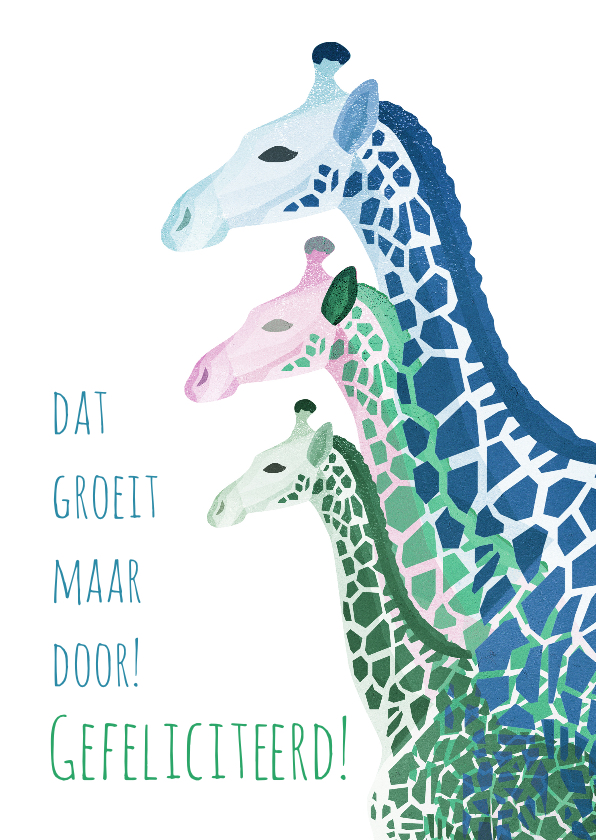 Giraffes verjaardagskaart - Verjaardagskaarten Verjaardagskaarten - Giraffes verjaardagskaart
