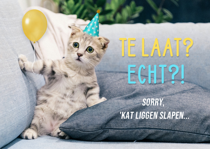 Verjaardagskaarten - Grappig verjaardagskaartje te laat kat met ballon en hoedje