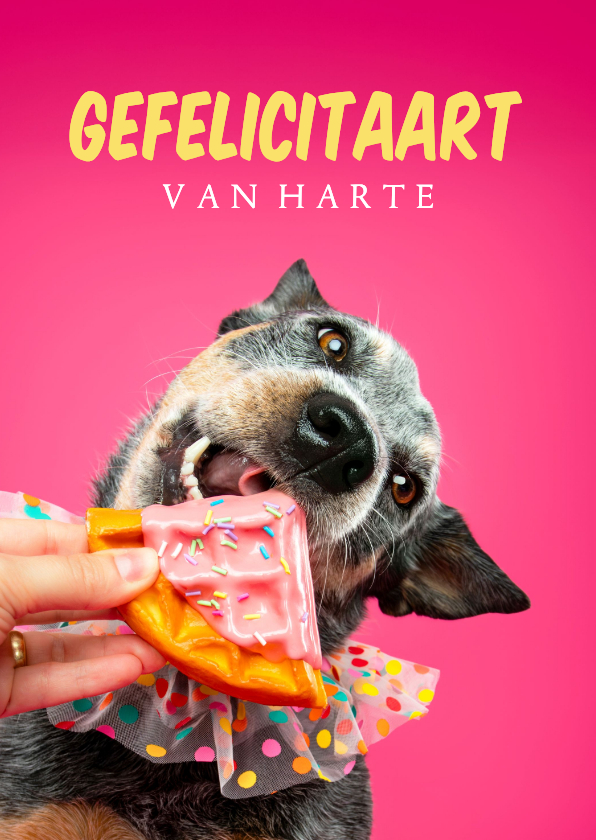 Verjaardagskaarten - Grappige felicitatiekaart van hond met stukje cake