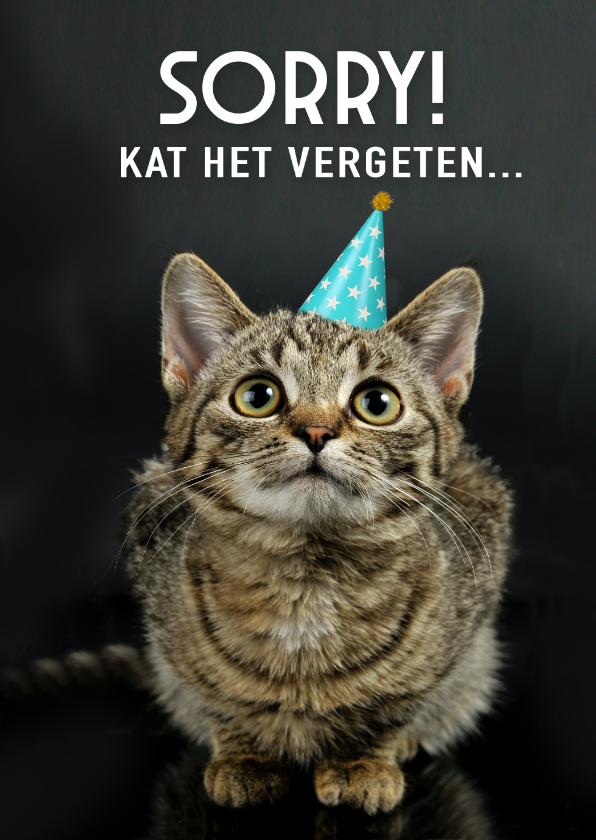 Verjaardagskaarten - Grappige te laat verjaardagskaart sorry met kat