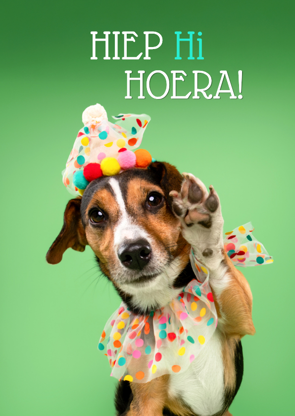 Grappige verjaardagskaart hondje feestmuts en pootje - Verjaardagskaarten Verjaardagskaarten - Grappige verjaardagskaart hondje feestmuts en pootje