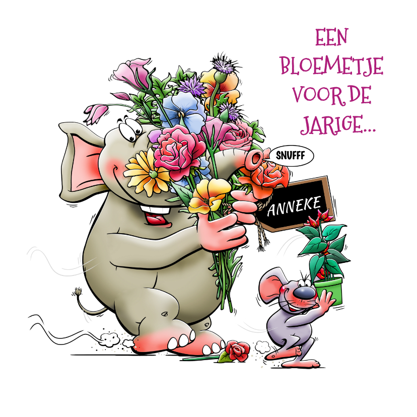 Verjaardagskaarten - Grappige verjaardagskaart met olifant en muisje, met bloemen